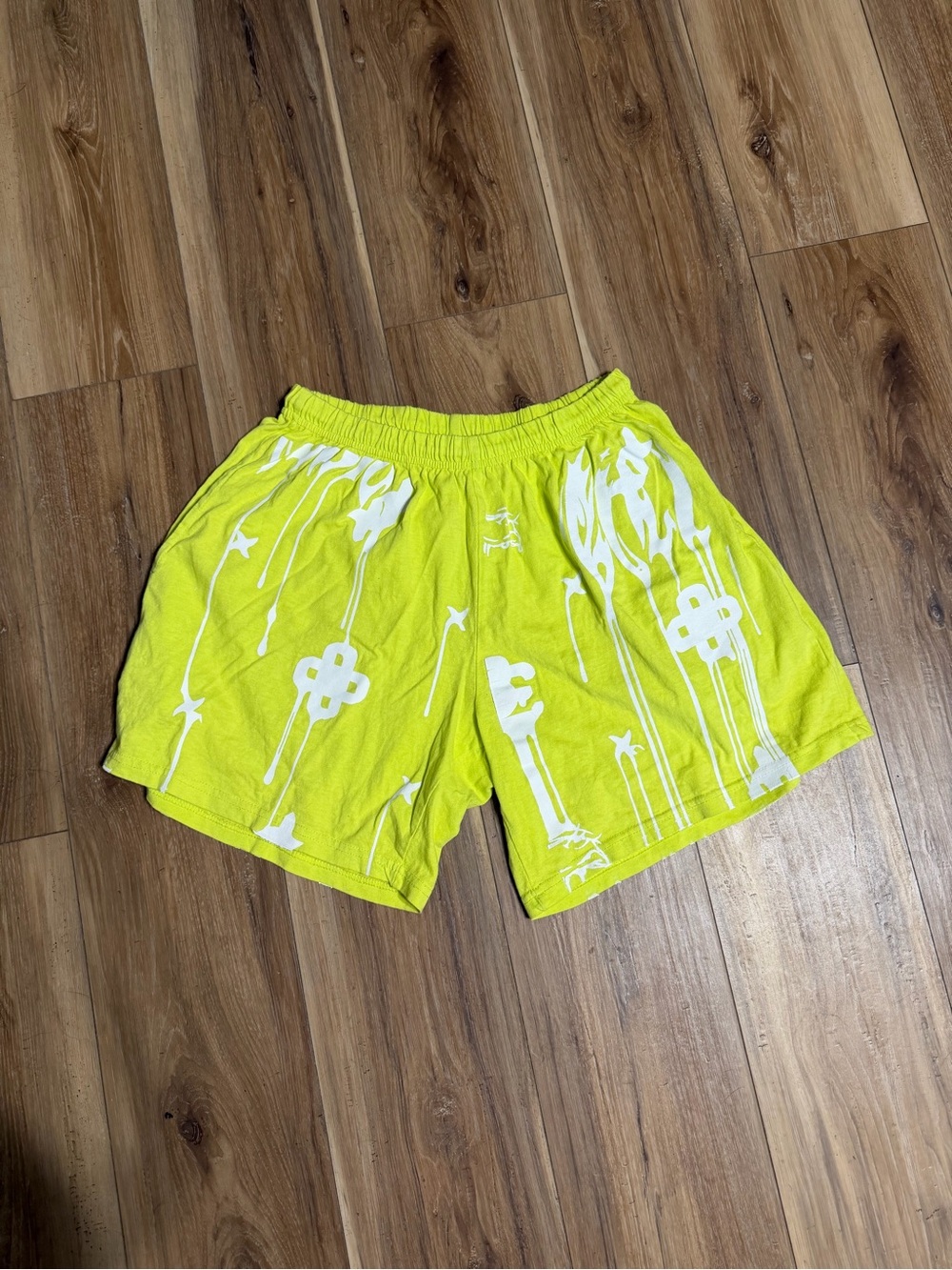 Billie Eilish Urban Outfitters Shorts